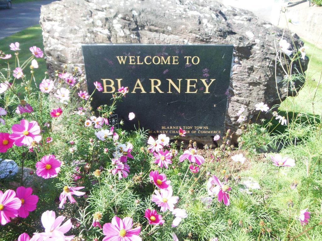 Blarney Vale B&B Exterior photo